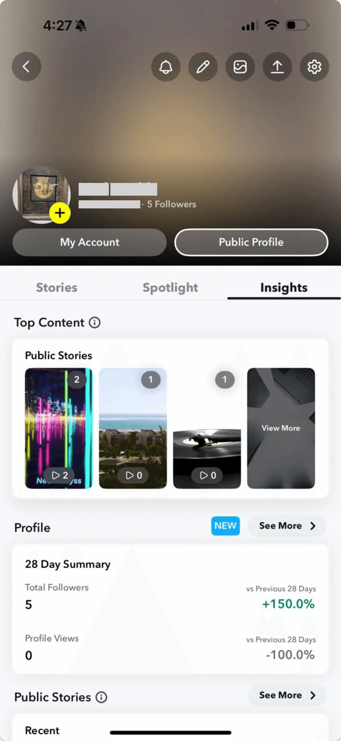 Snapchat public profile
