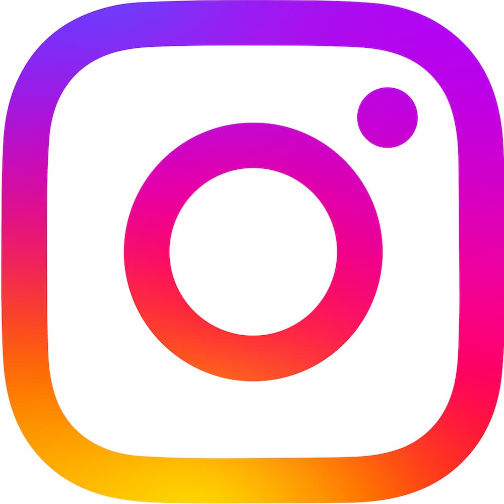 instagram logo